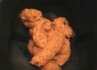 Lots of poop if you are into the scat kink XXX